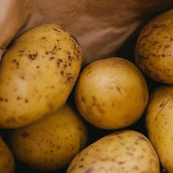 Kartoffeln in einer Papiertüte: Eine BE-Tabelle hilft Menschen mit Diabetes beim Genuss des Gemüses.