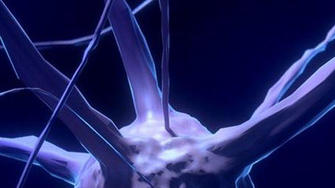 Die Nerven können bei Menschen mit Diabetes geschädigt werden.